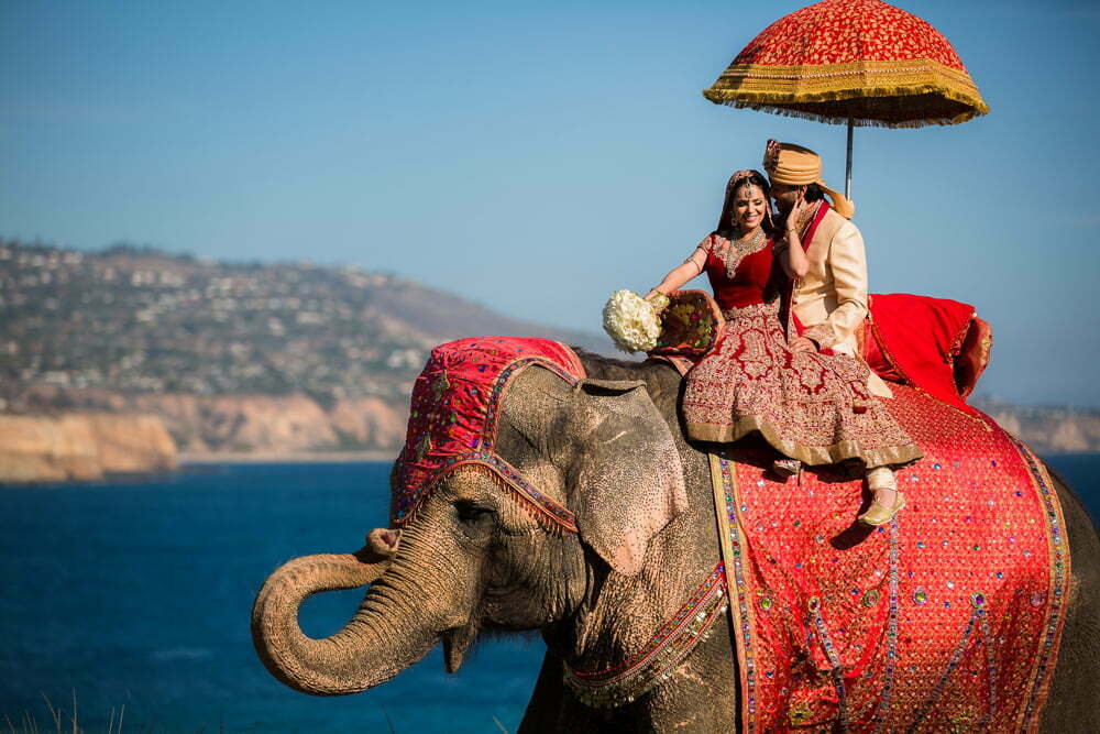 elephant best bride and groom entry ideas