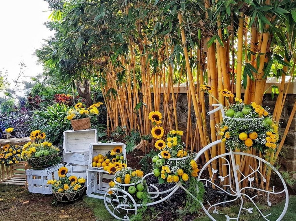 cycle decoration with sunflowers and fruits